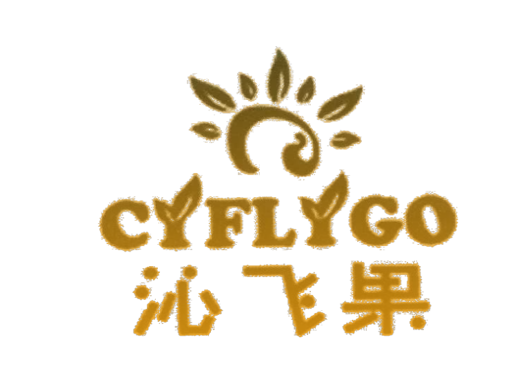 美国商标注册-尚标-沁飞果 CYFLYGO