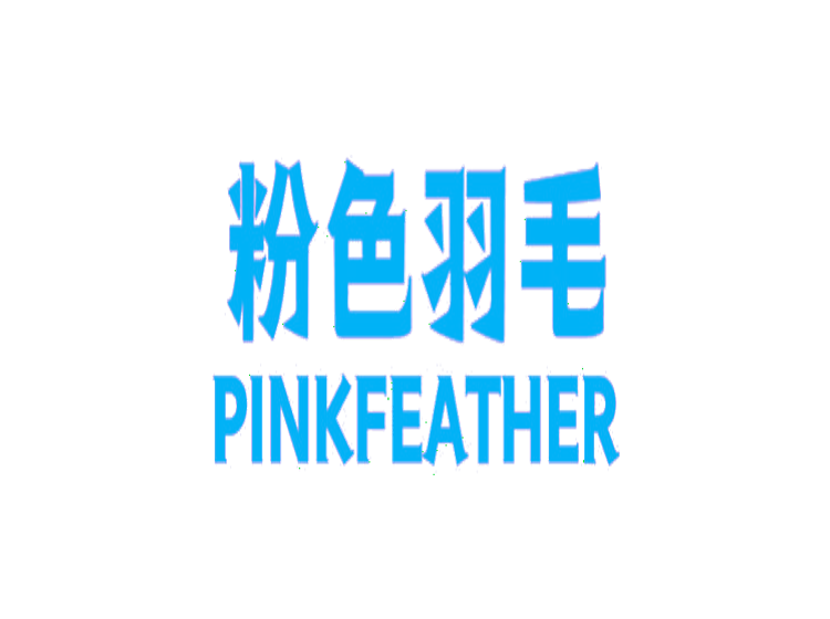 粉色羽毛  PINKFEATHER