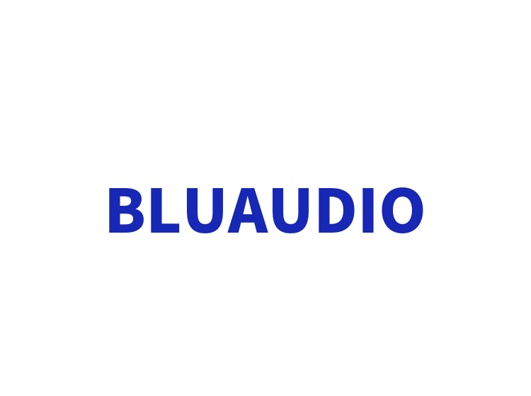 BLUAUDIO