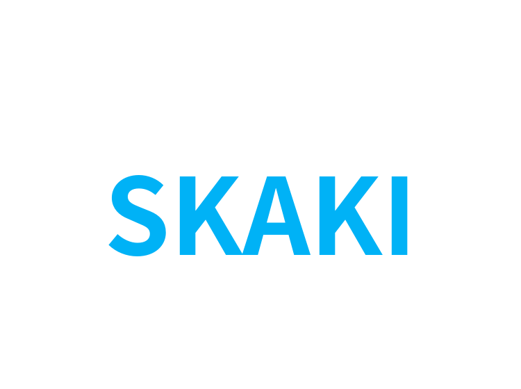 SKAKI
