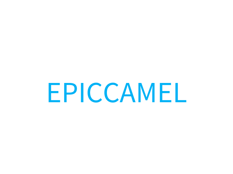 EPICCAMEL