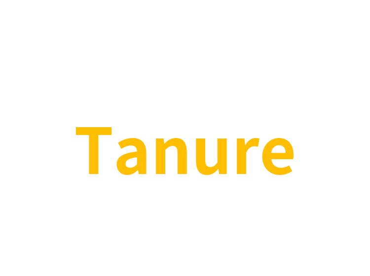 Tanure