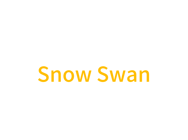 Snow Swan