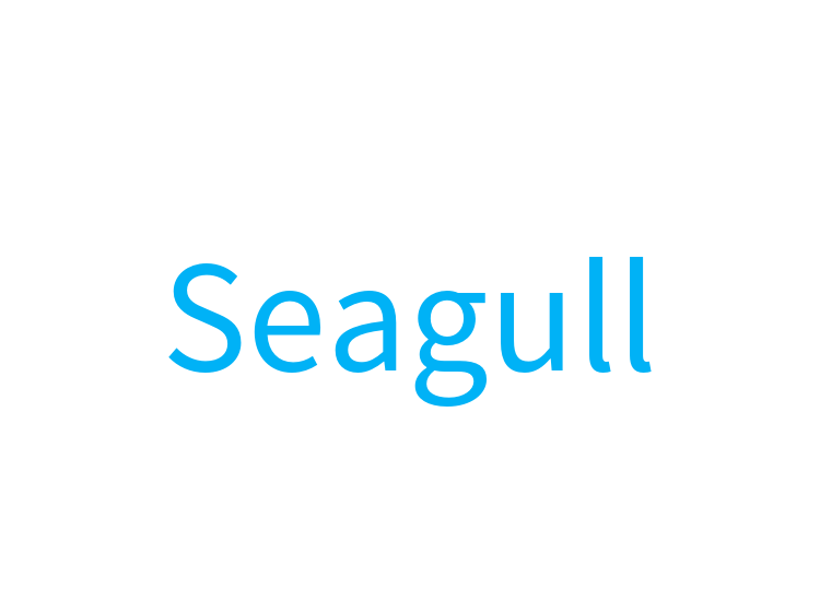 Seagull
