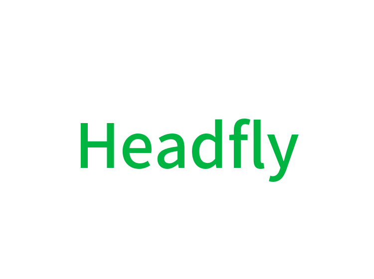 Headfly