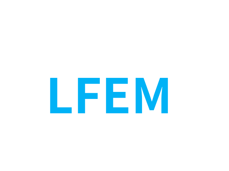 LFEM 