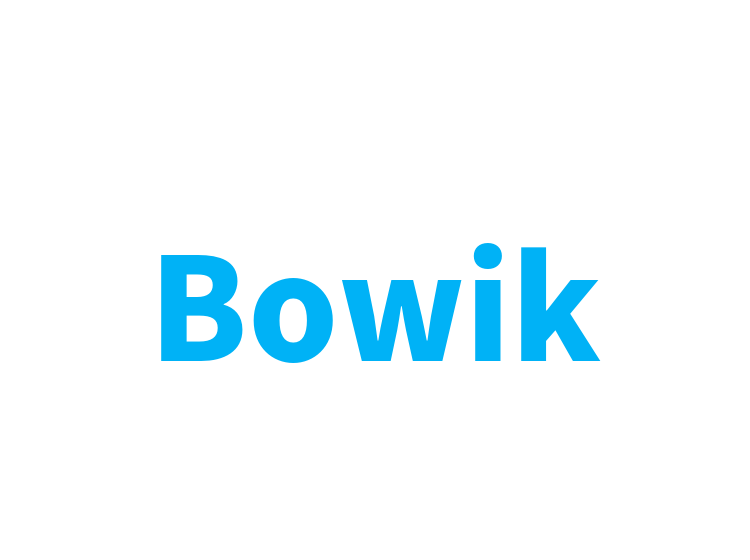 Bowik