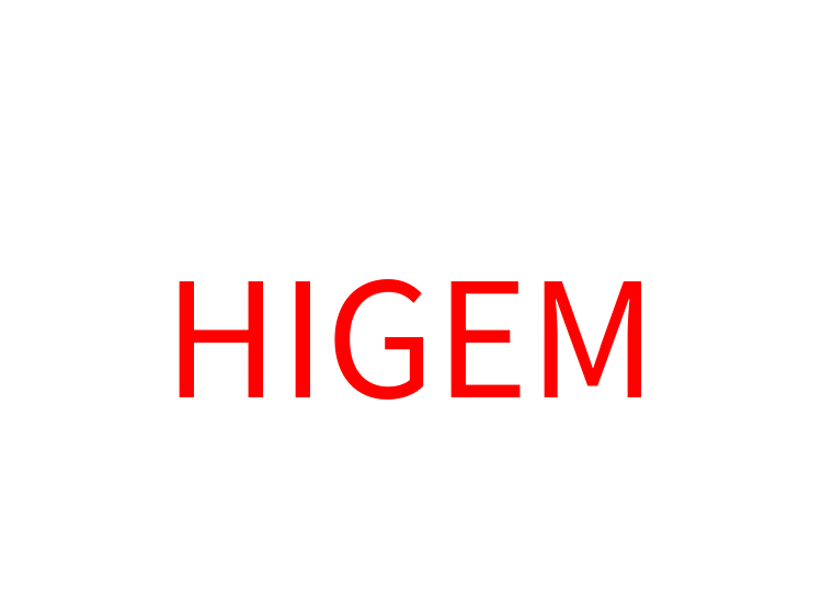 HIGEM