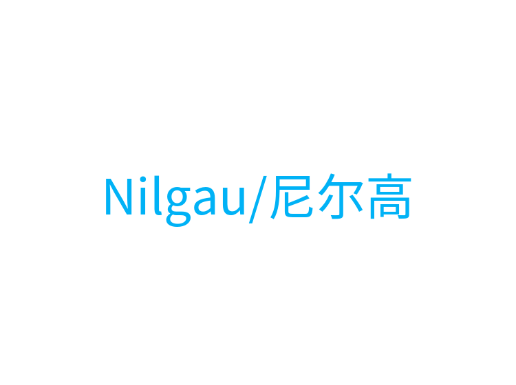 Nilgau/尼尔高
