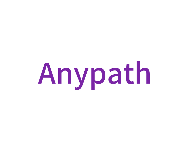 Anypath