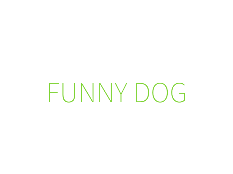 FUNNY DOG