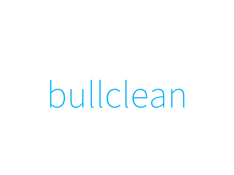 bullclean