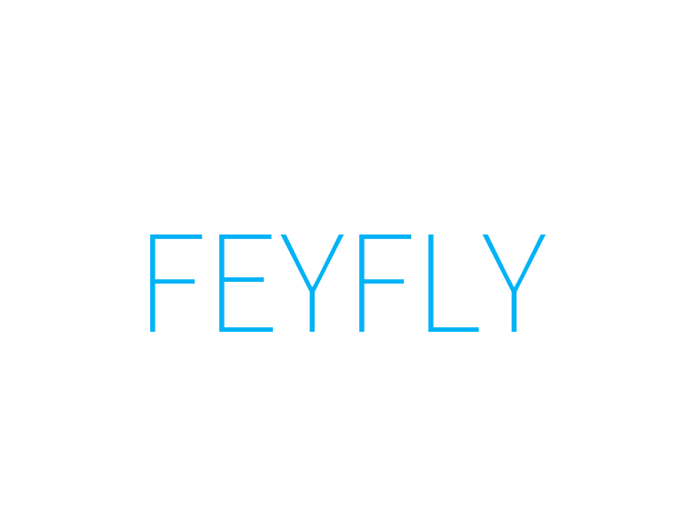 FEYFLY