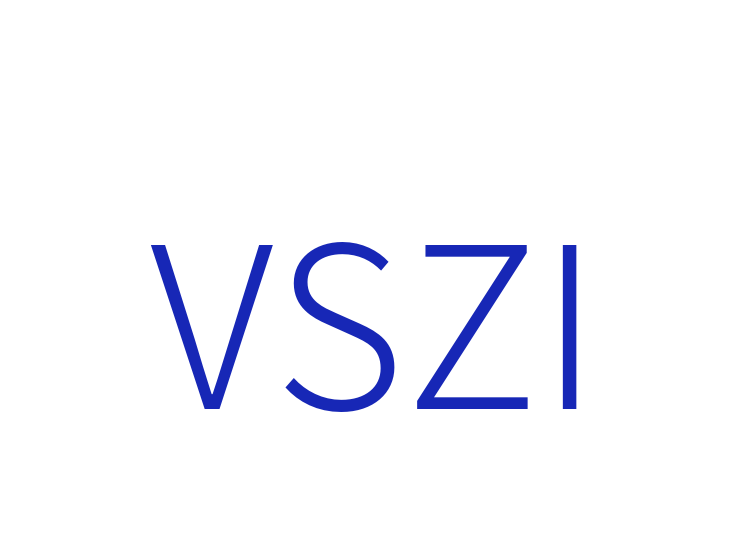 VSZI