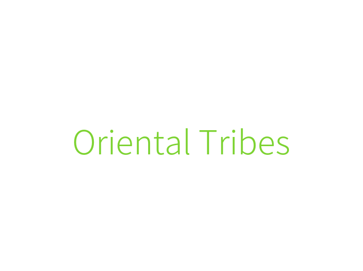 Oriental Tribes