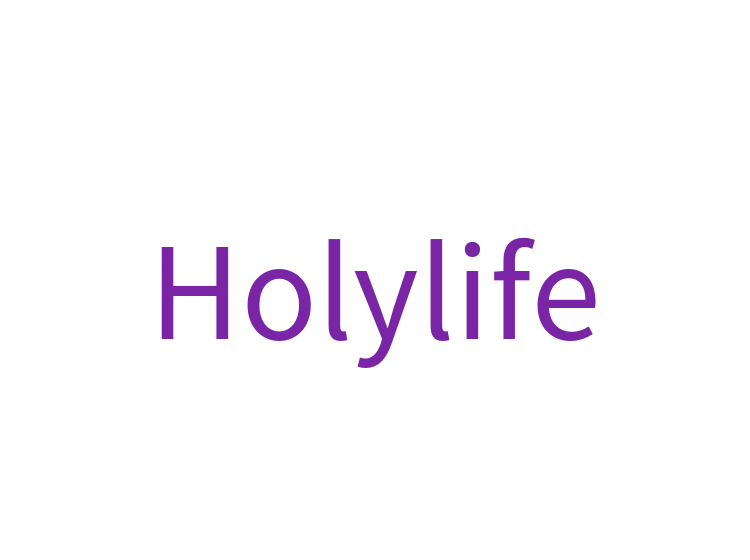 Holylife
