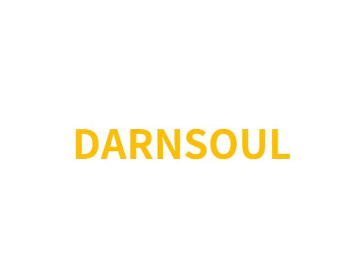 DARNSOUL