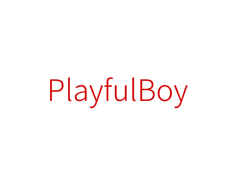 PlayfulBoy