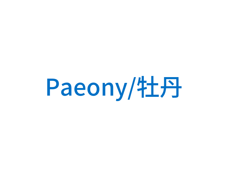 Paeony/牡丹