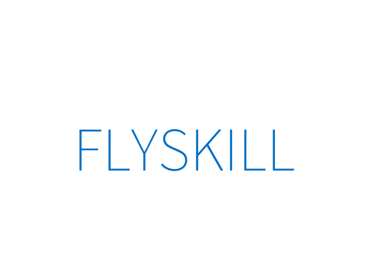 FLYSKILL