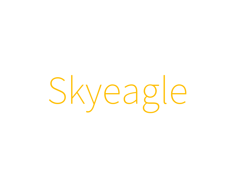 Skyeagle