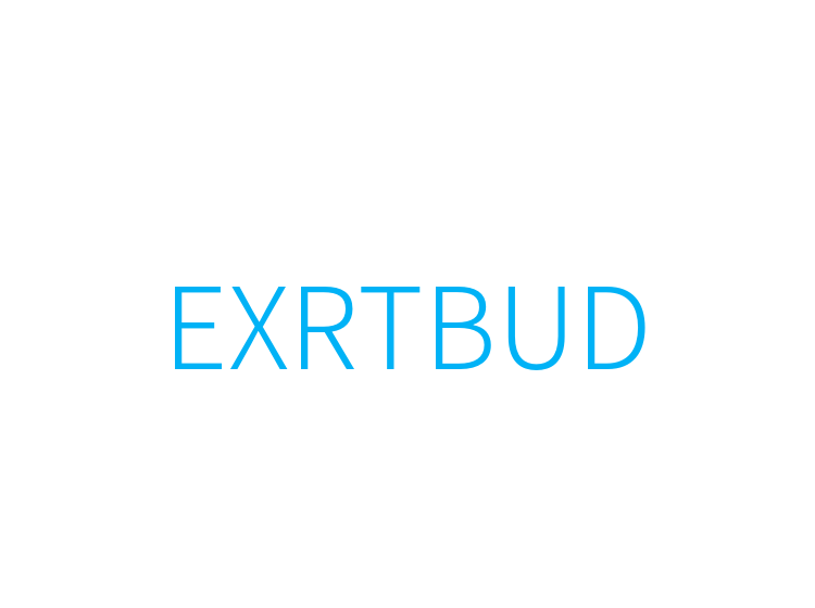 EXRTBUD