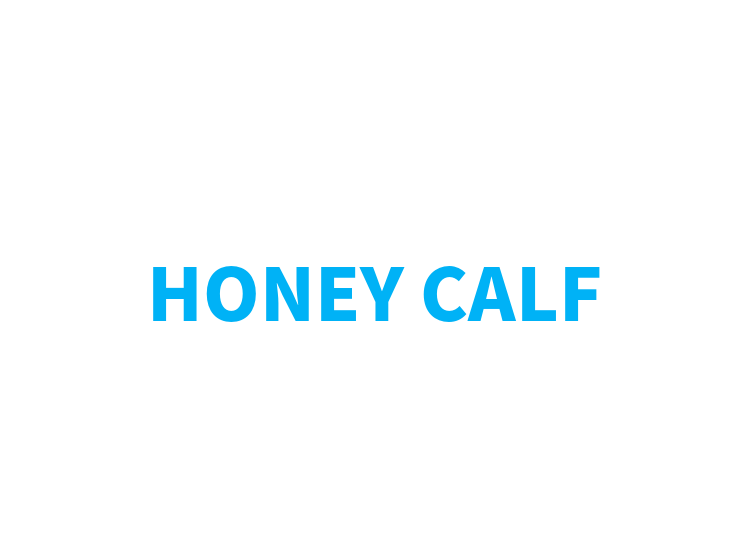 HONEY CALF