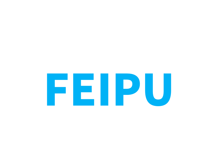 FEIPU