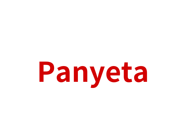 Panyeta