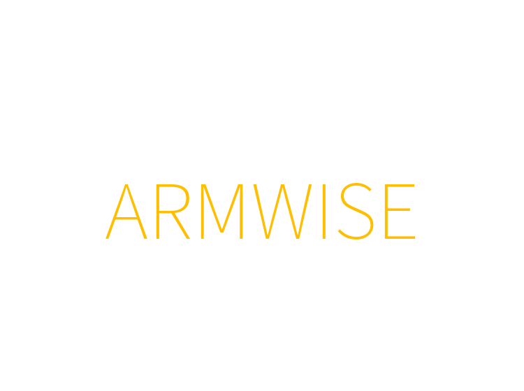 ARMWISE