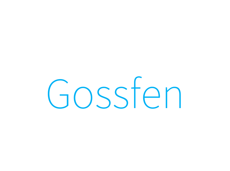 Gossfen