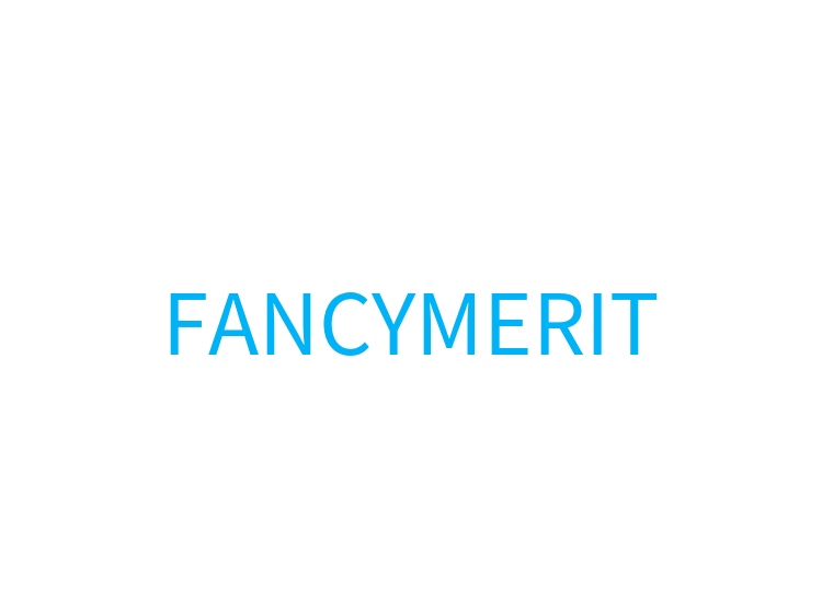 FANCYMERIT