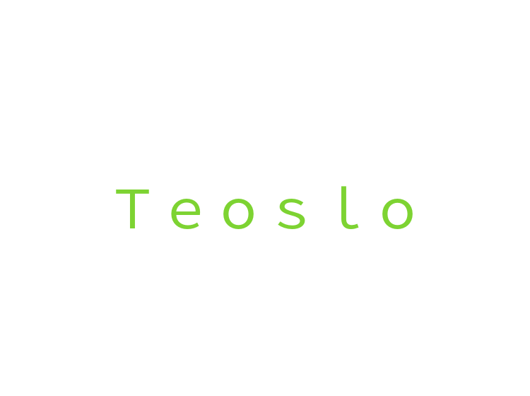 Ｔｅｏｓｌｏ