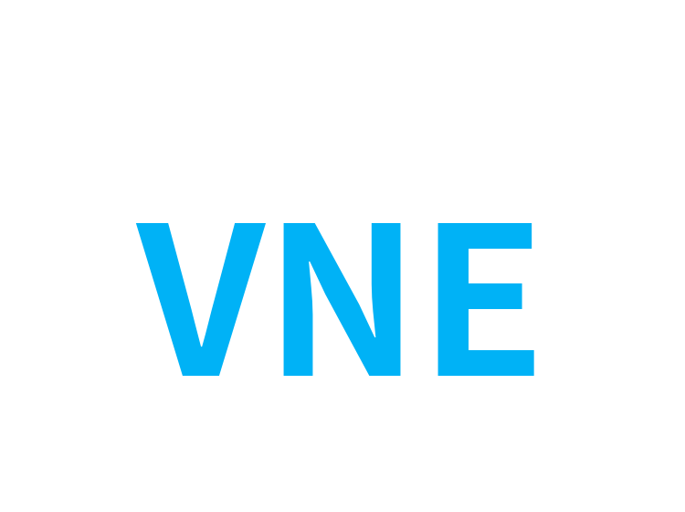 VNE