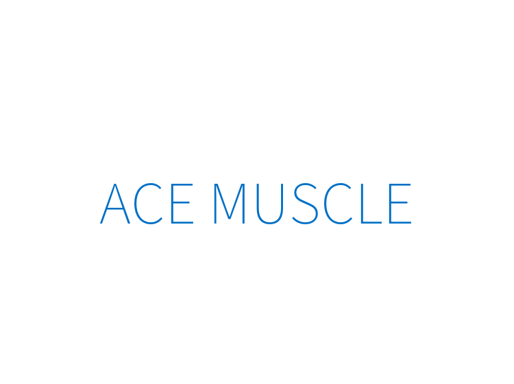 ACE MUSCLE