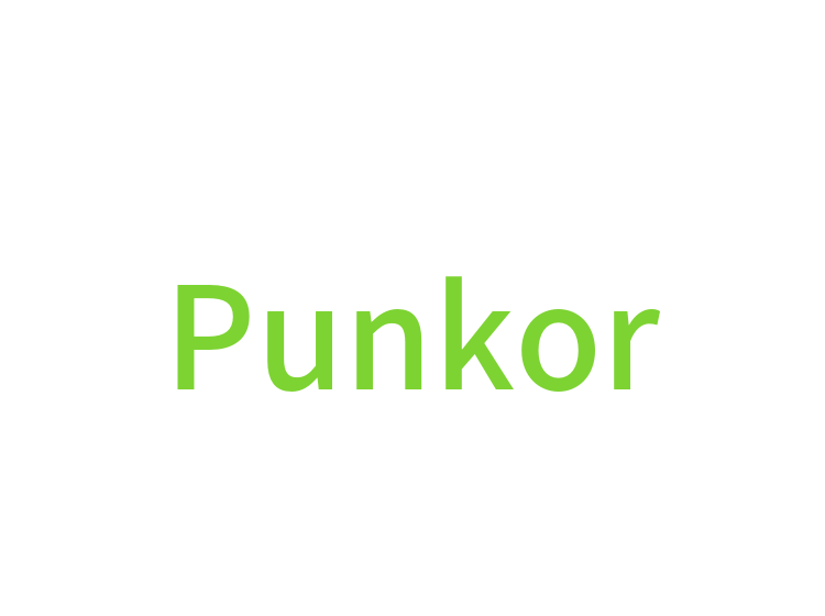 Punkor