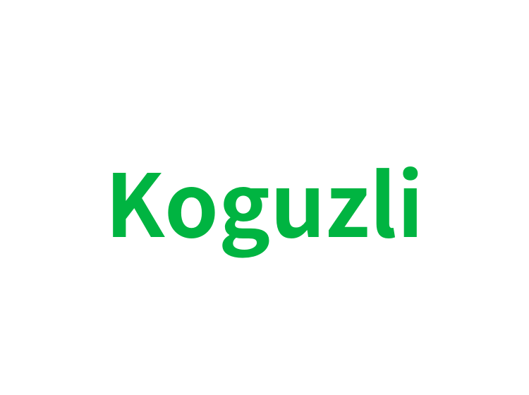 Koguzli
