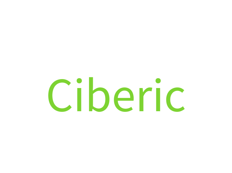 Ciberic