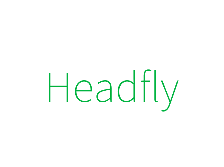 Headfly