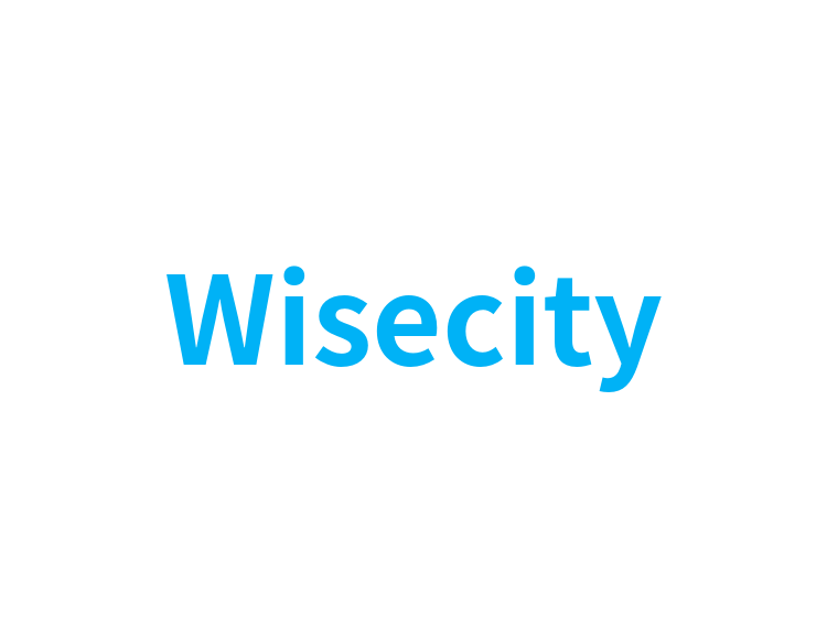 Wisecity