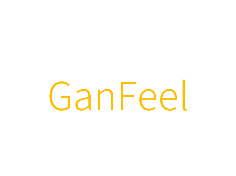 GanFeel