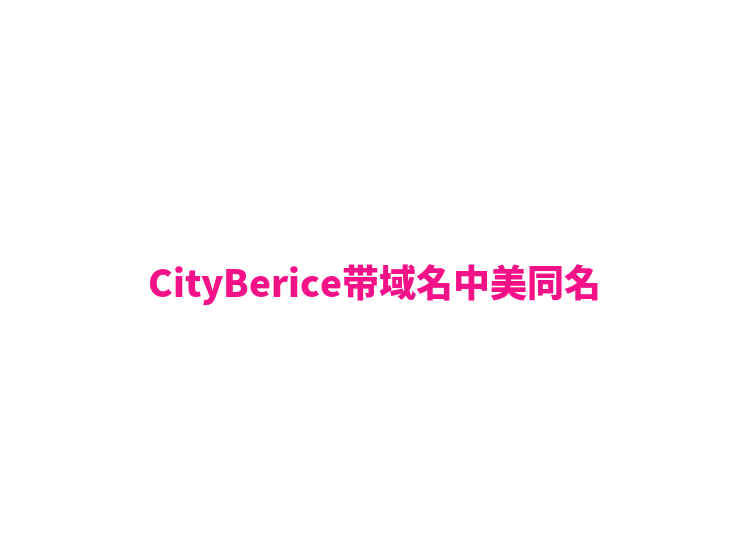 CityBerice带域名中美同名
