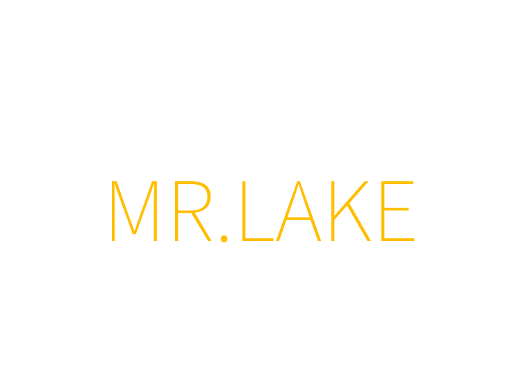 MR.LAKE