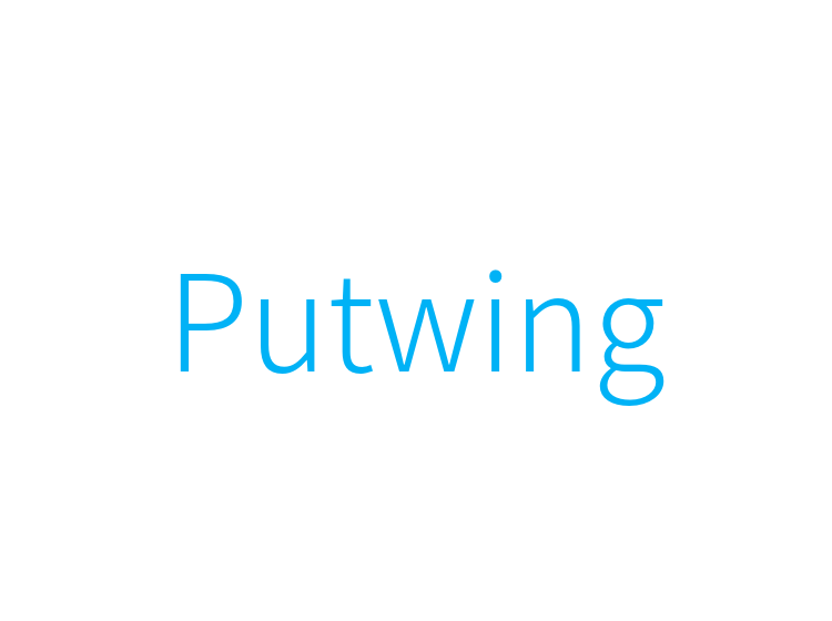 Putwing