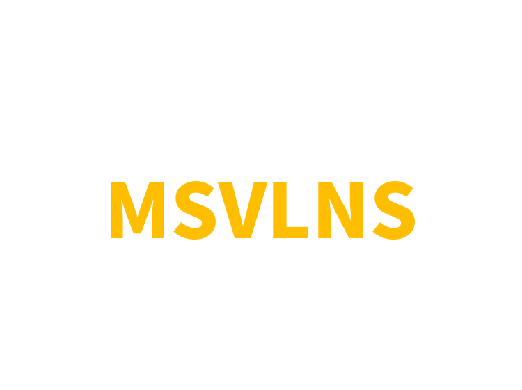 MSVLNS
