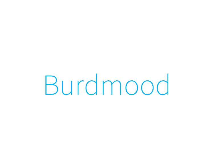 Burdmood