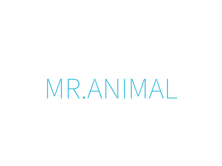 MR.ANIMAL