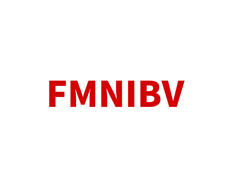 FMNIBV