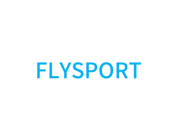 FLYSPORT