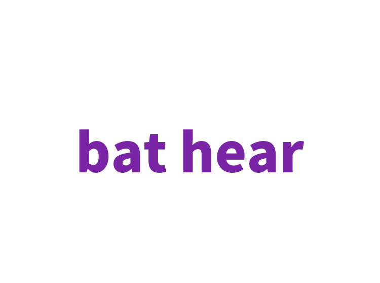 bat hear